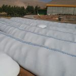 انبارداری بذر ذرت