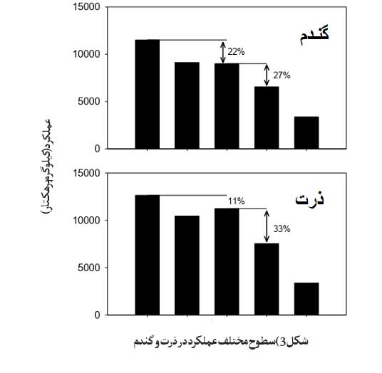 شکاف عملکرد در ذرت