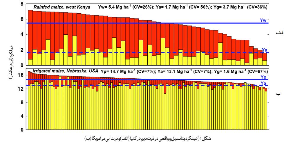 شکاف عملکرد در ذرت