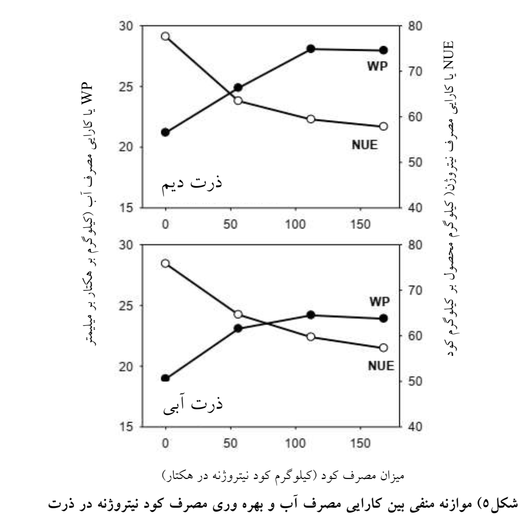 شکاف عملکرد در ذرت