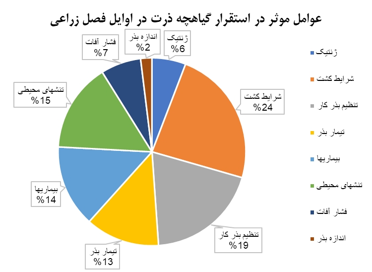 تاثیر اندازه بذر بر استقرار گیاهچه در ذرت