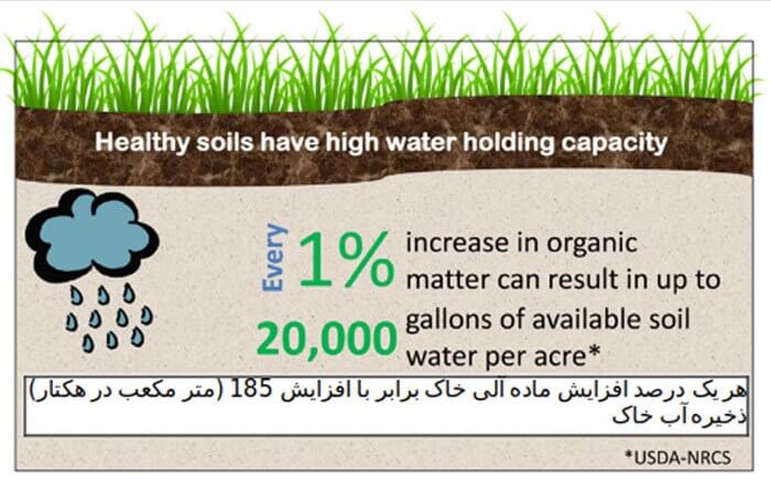 اهمیت مواد آلی خاک در کشت ذرت