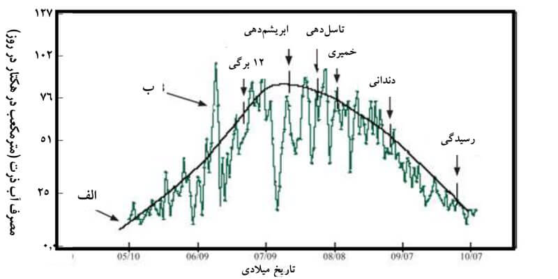 آبیاری در ذرت | توسعه کشت ذرت