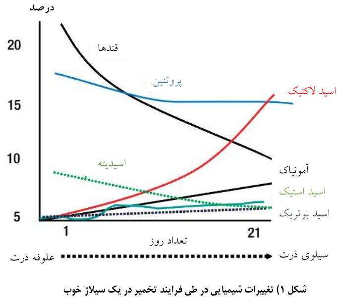 شرکت توسعه کشت ذرت