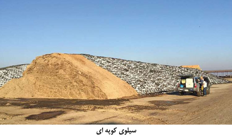 سیلوی کوپه ای| سیلاژ ذرت