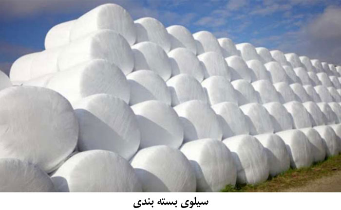 سیلوی بسته بندی| سیلاژ ذرت