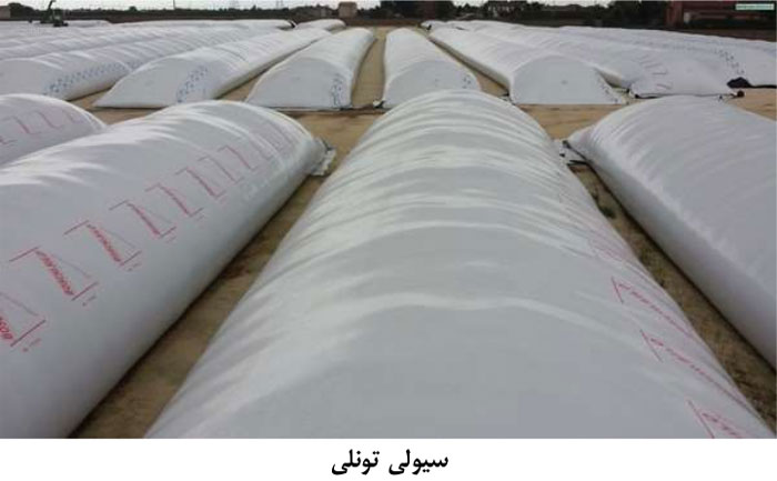 سیلوی تونلی| سیلاژ ذرت