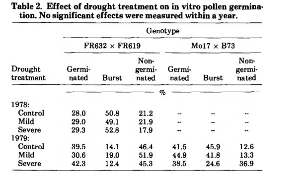 اثر خشکی بر جوانه زنی ذرت